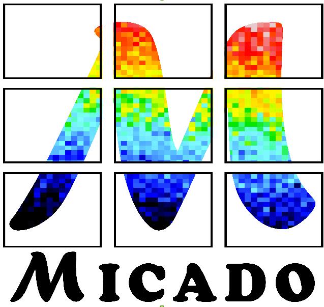 MICADO logo