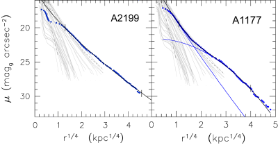 Surface brightness profiles